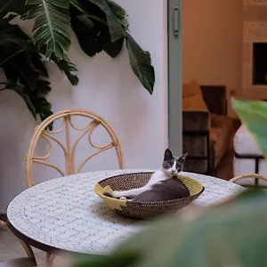 Danka Riad Marraquexe